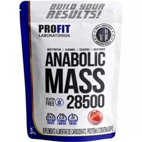 Hipercalórico Profit Anabolic Mass 28500
